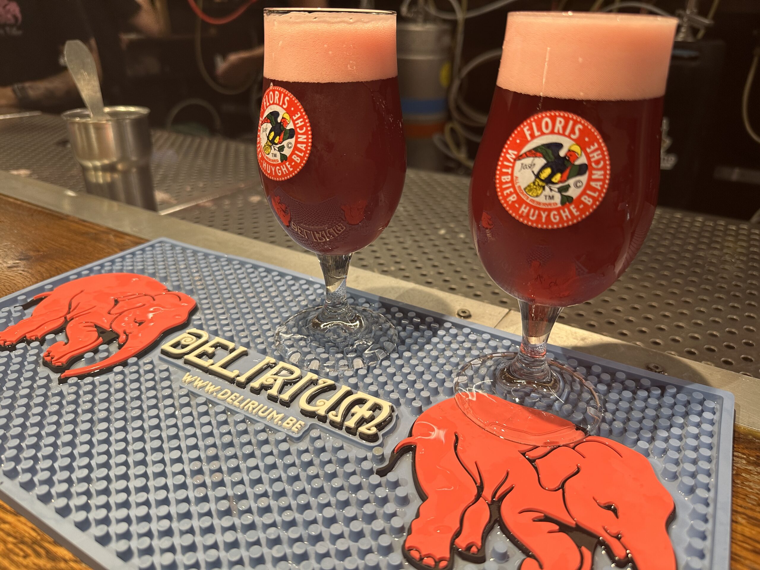 Is Brussels Worth Visiting? 2 pints of Belgian sour beers at Delirium Cafe